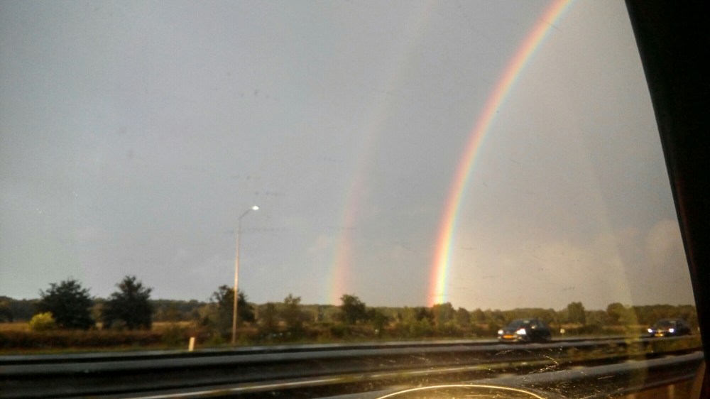 wp-1470267999052 image